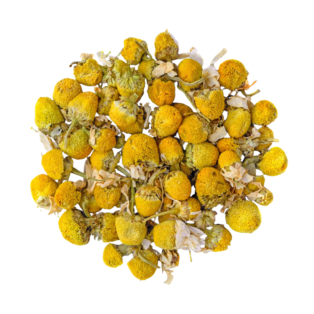 Infusion | Camomille BIO