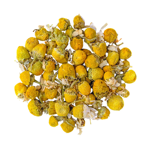 Infusion | Camomille BIO