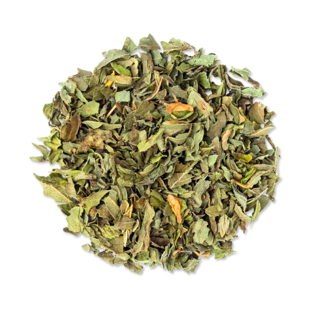 Infusion | Menthe Poivrée BIO