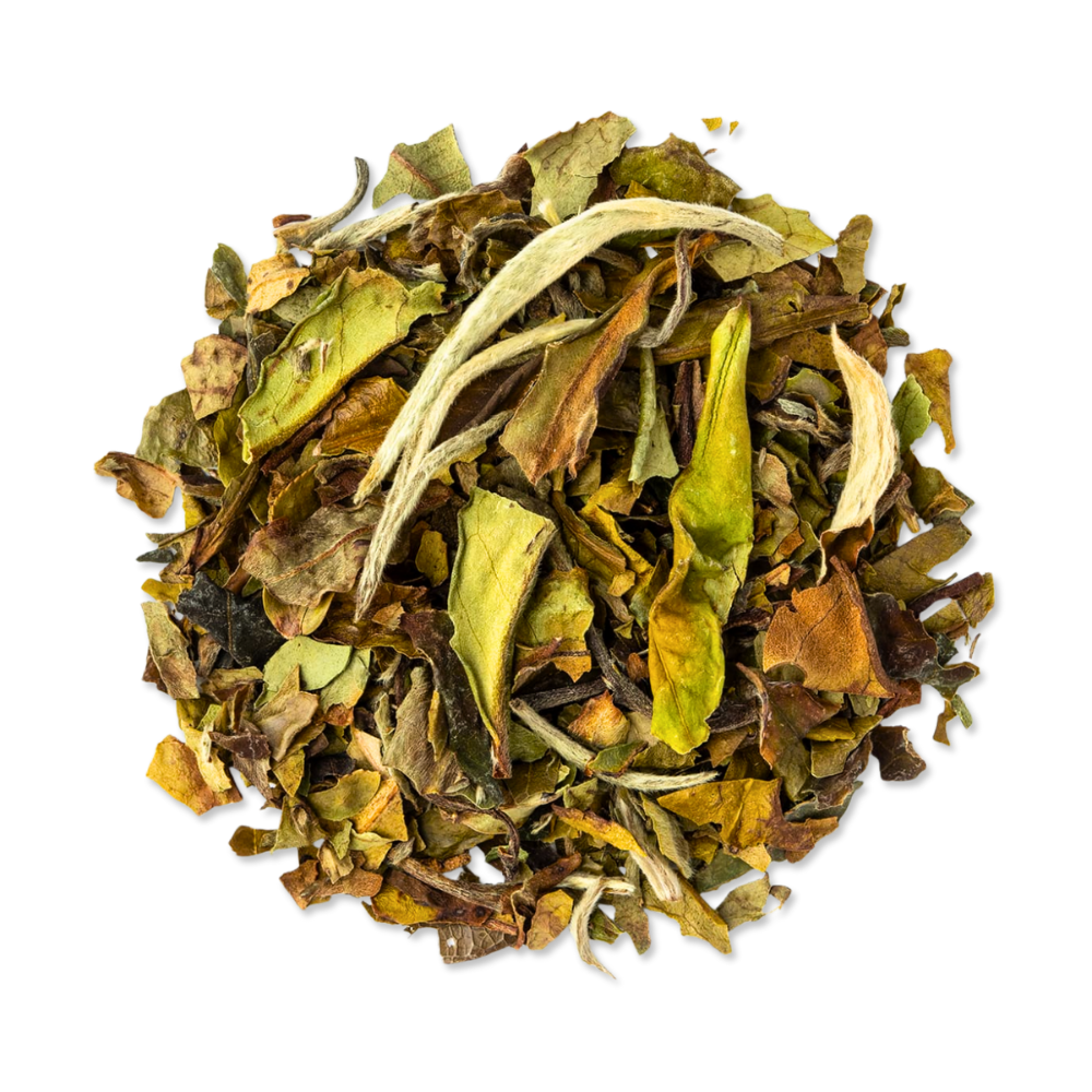 Thé blanc | Paï Mu Tan BIO