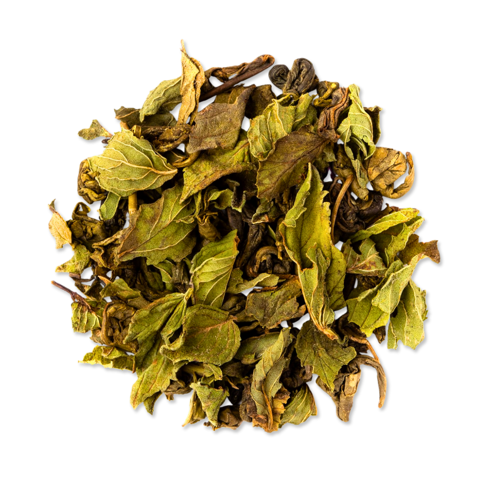 Thé vert | Mint Oasis BIO